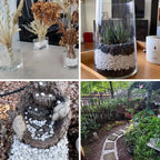 Natural White Decorative Pebbles