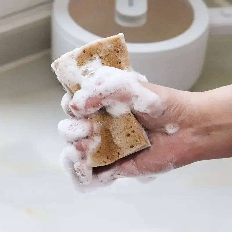 Premium Three Layer Seaweed Sponges