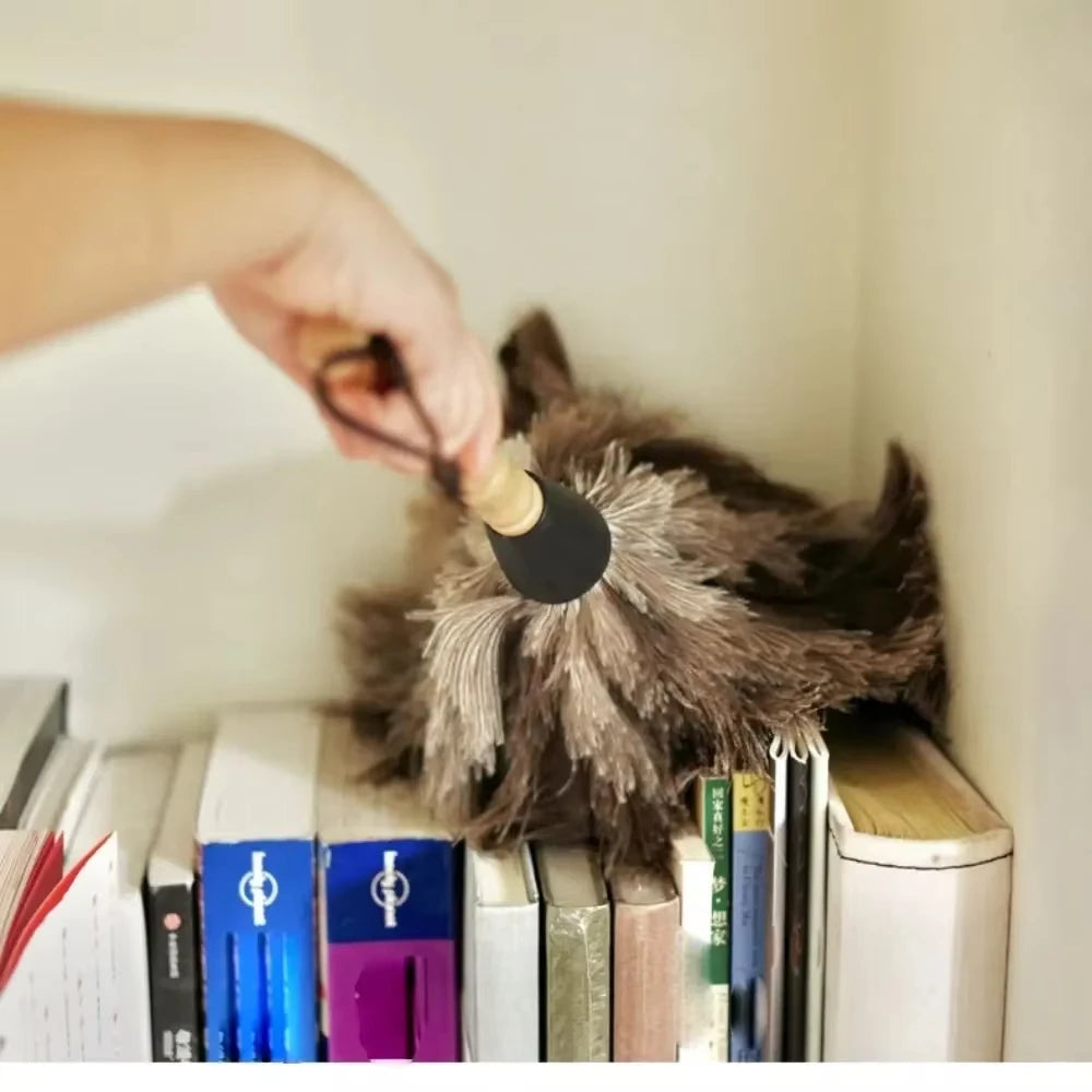 Natural Ostrich Feather Duster