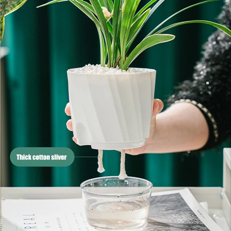 Self-Watering Transparent Planter