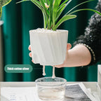 Self-Watering Transparent Planter