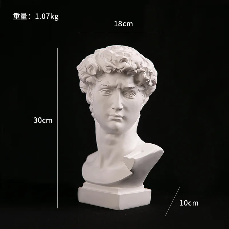 European David Head Resin Bust Sculpture