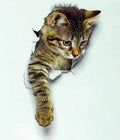Cute 3D Cat Wall Sticker