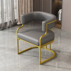Luxury Modern Cushioned Accent Chair