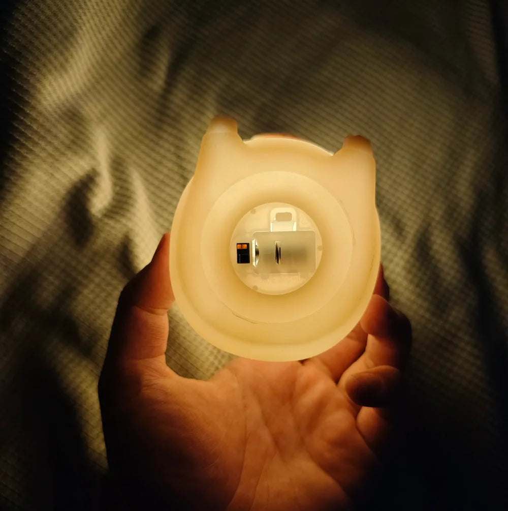 Cute Capybara Silicone Night Light