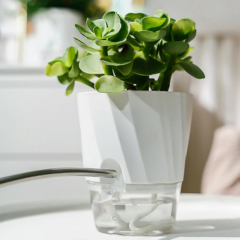 Self-Watering Transparent Planter