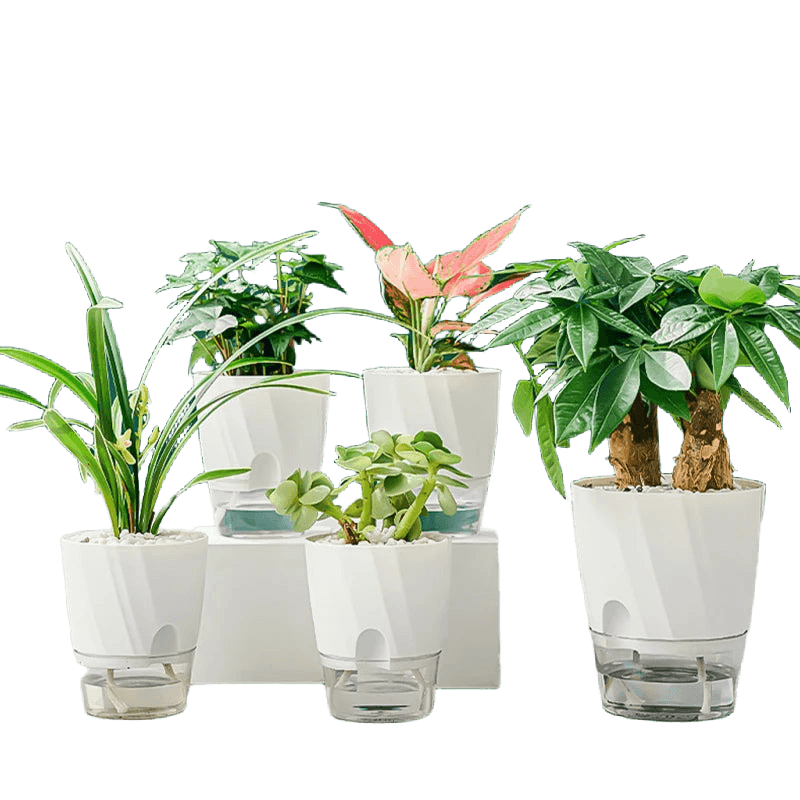 Self-Watering Transparent Planter